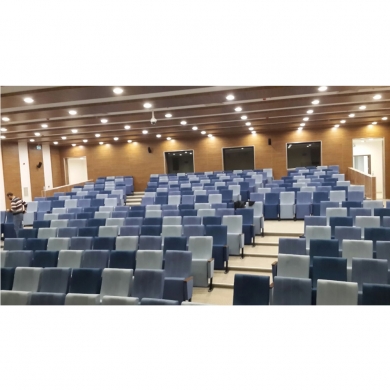 Sinema ve Konferans Salonu Koltuğu
