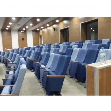 Sinema ve Konferans Salonu Koltuğu