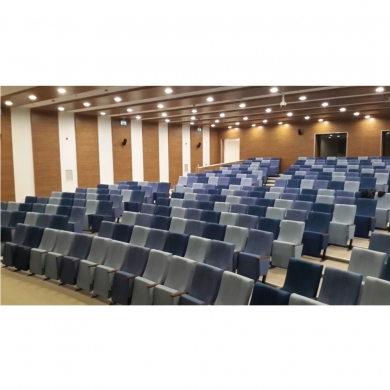 Sinema ve Konferans Salonu Koltuğu