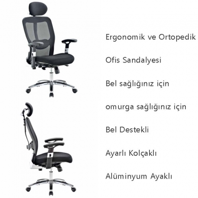 Ofis Yönetici Koltuğu Omega Casella