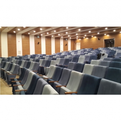 Sinema ve Konferans Salonu Koltuğu