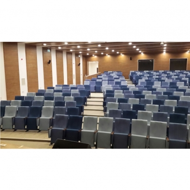 Sinema ve Konferans Salonu Koltuğu